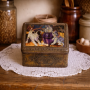 Antique kitten lithographed tin box – vintage collectible tin
